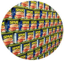 Wall of Spam